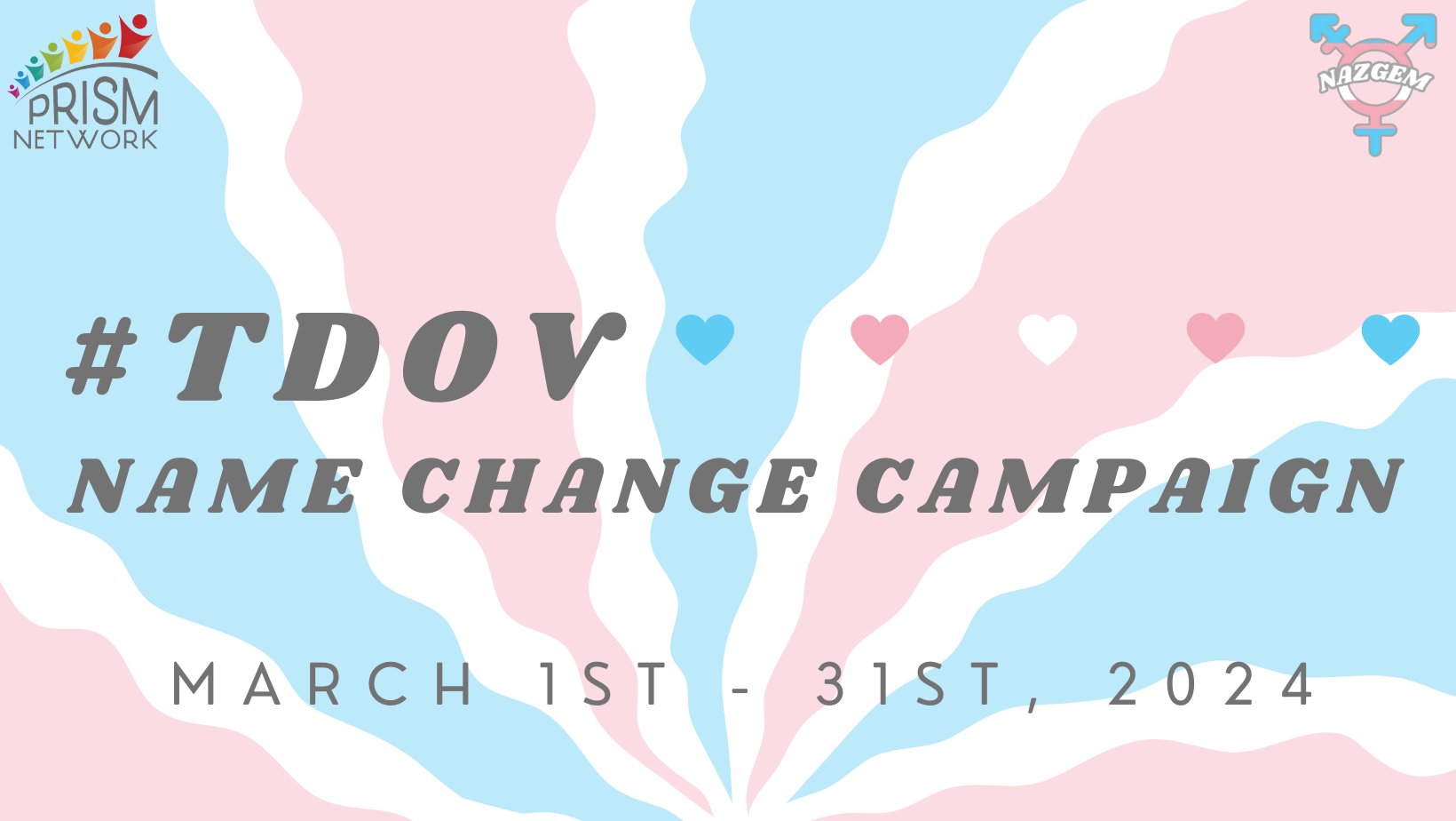 Campaign cover image for #TDOV Name Change Campaign