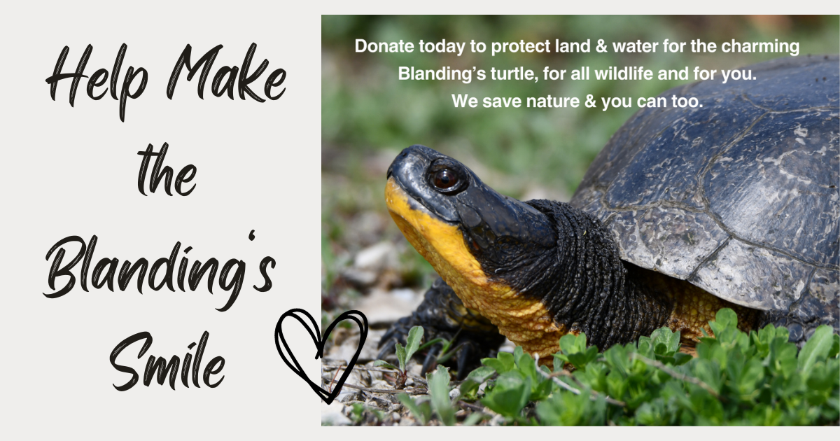 Campaign cover image for End 2023 on a High Note!