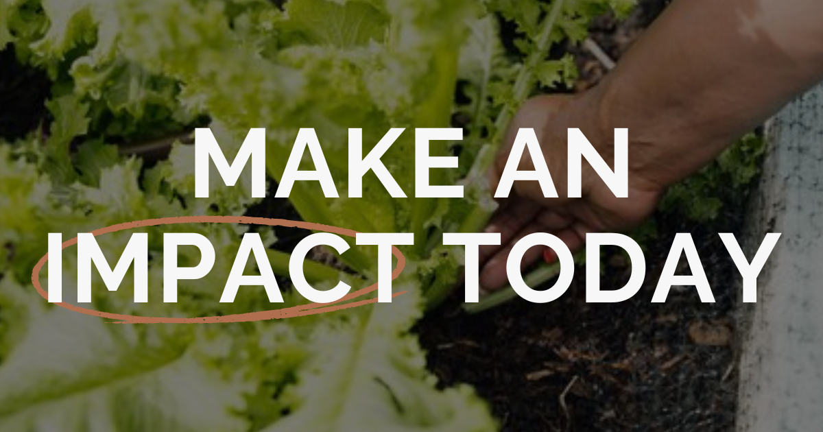 Campaign cover for Your Gift Expands Access to Fresh Food and Community Wellness