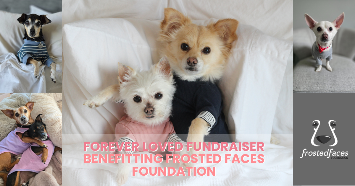 Campaign cover image for Forever Loved Fundraiser - 2026