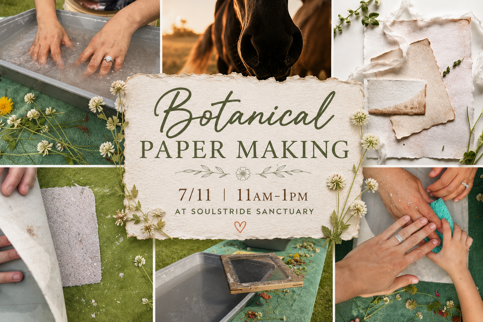 Campaign cover image for Botanical Paper Making
