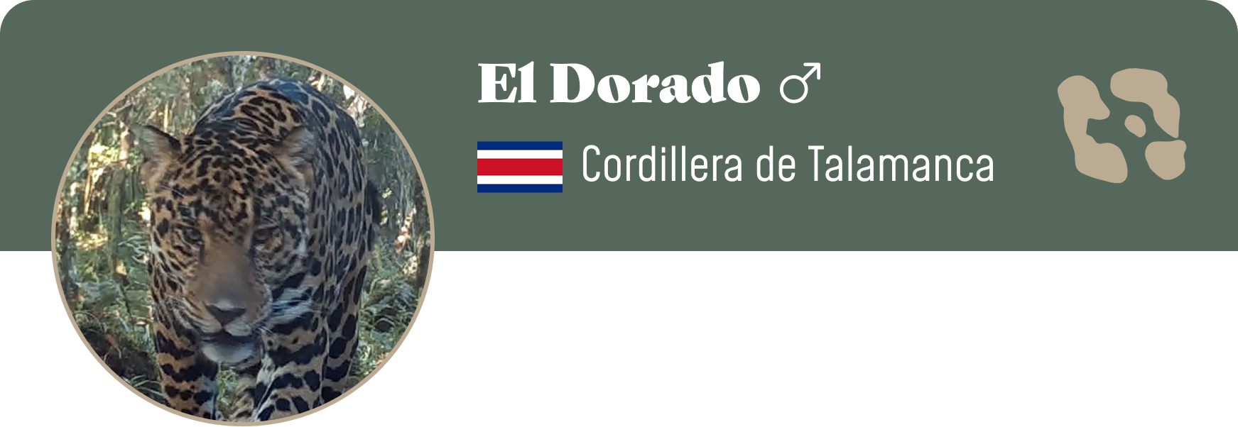 Campaign cover image for Adopt El Dorado