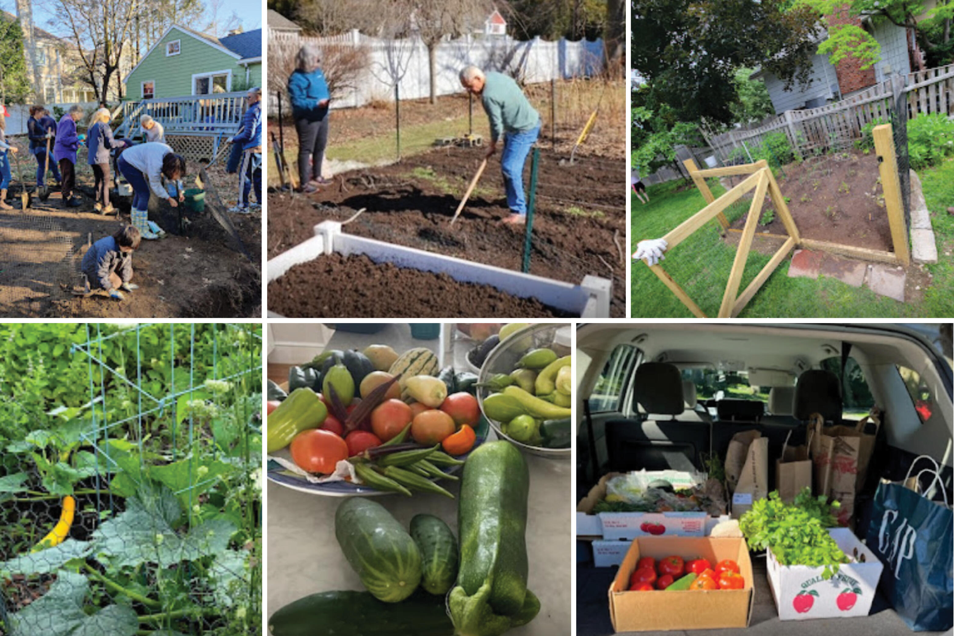 Campaign cover for Gardens For Good