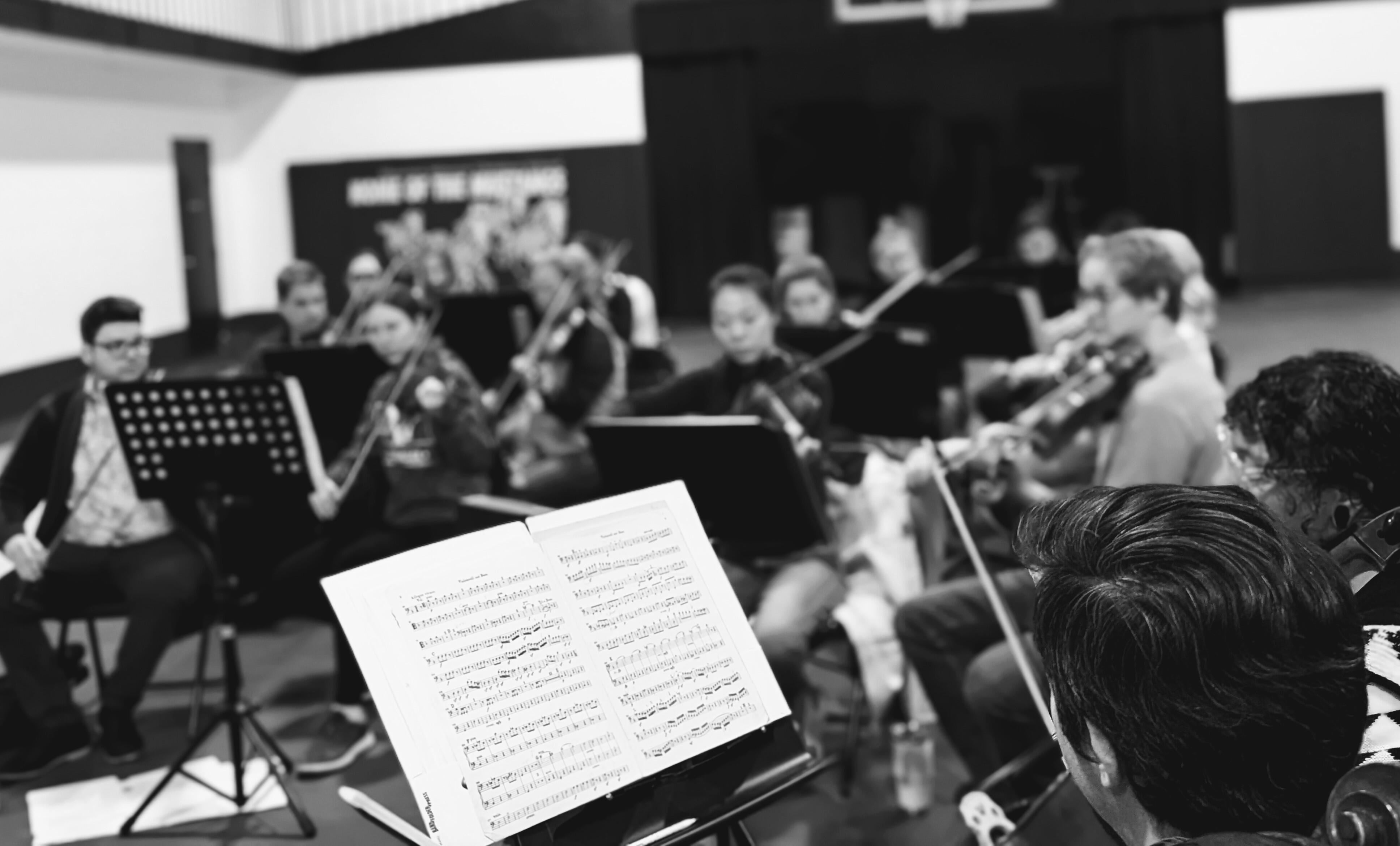 Campaign cover image for Summer Youth Symphony