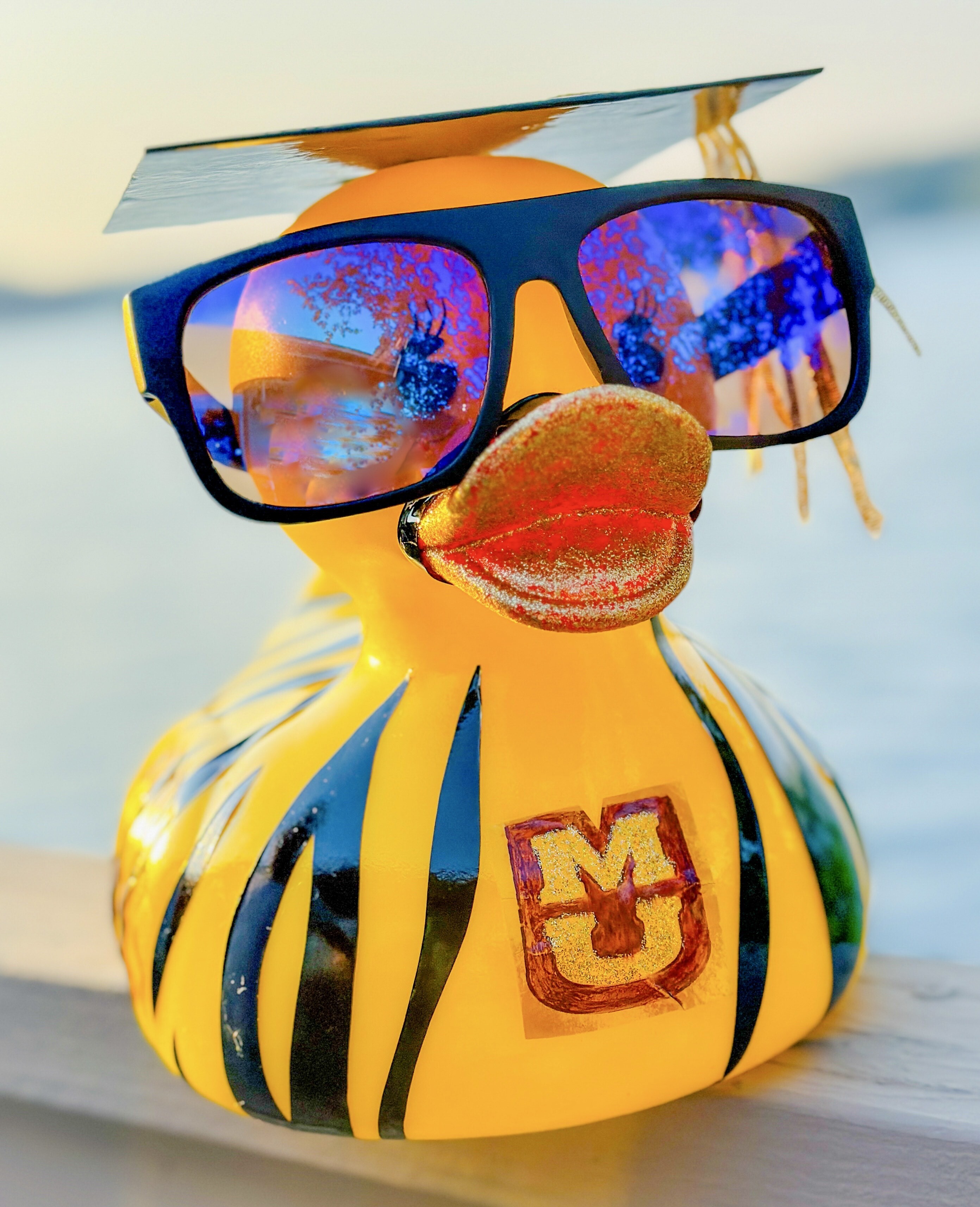 Campaign cover image for Mizzou Academy DUCK-orating Page