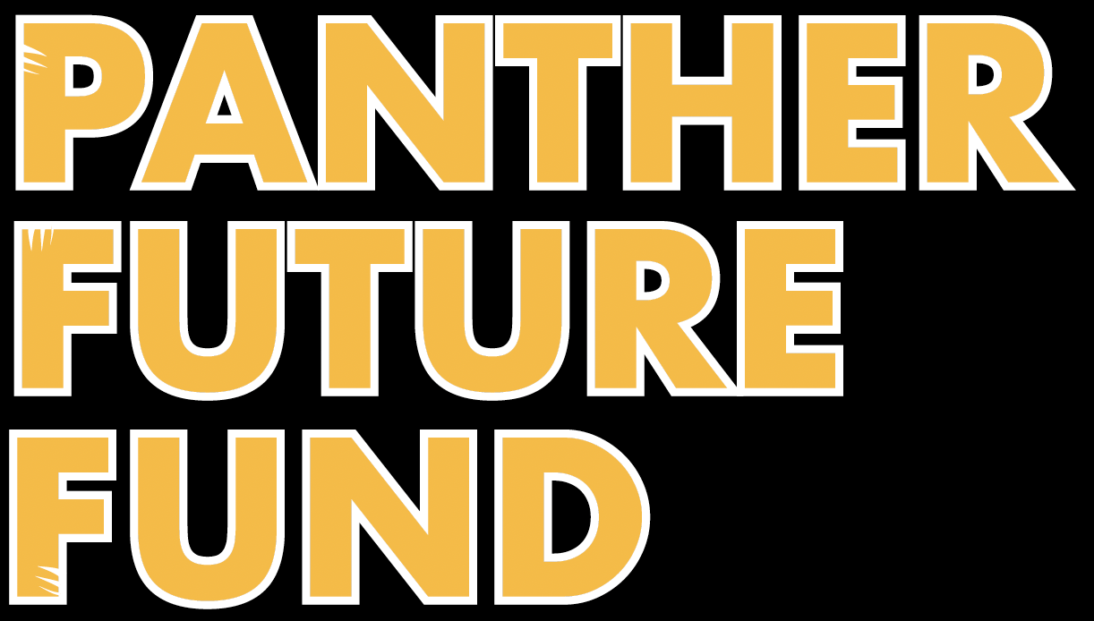 Campaign cover image for 2024 Panther Future Fund Golf Outing - Silent Auction