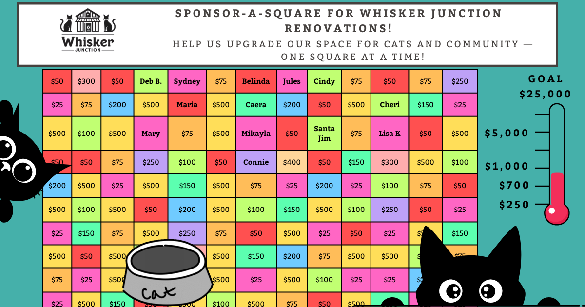 Campaign cover image for Sponsor a Square – Help Renovate Whisker Junction