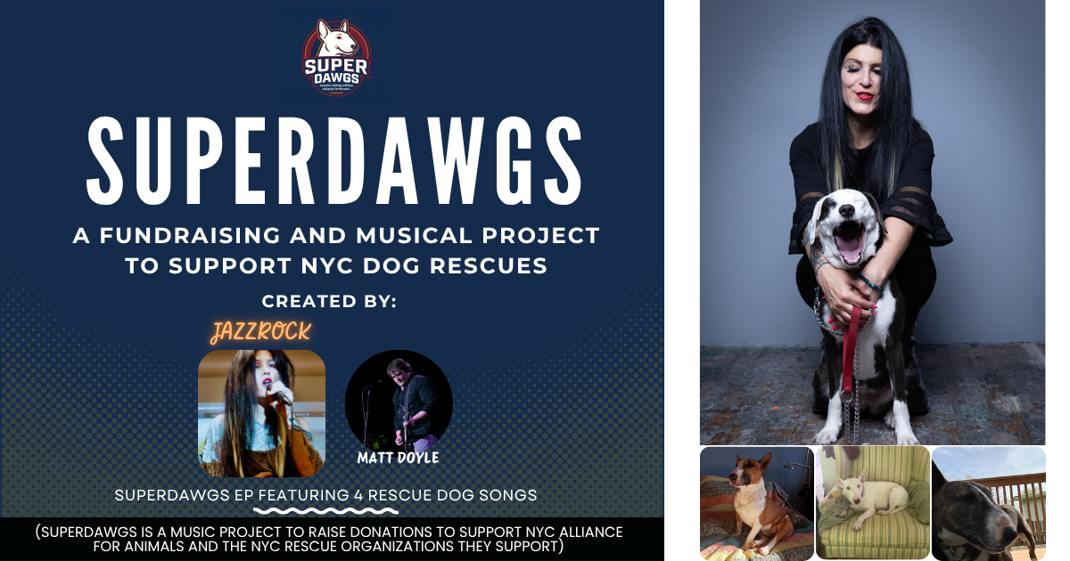 Campaign cover image for SuperDawg Fundraising Project To Support NYC Rescue Dogs