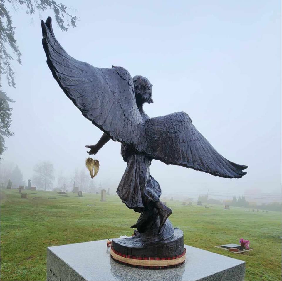 Campaign cover image for Skagit Angel of Hope