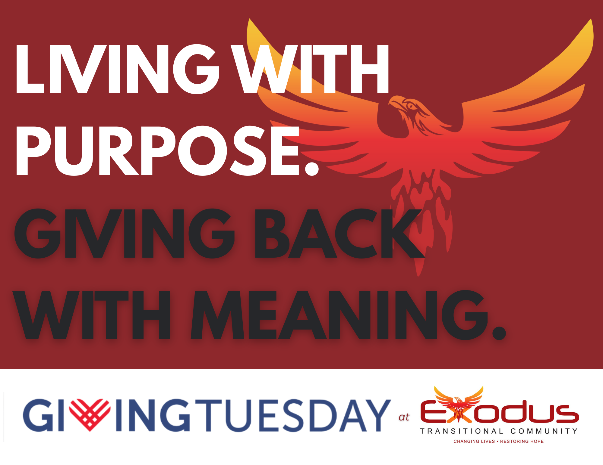 Campaign cover image for Exodus Giving Tuesday 2025