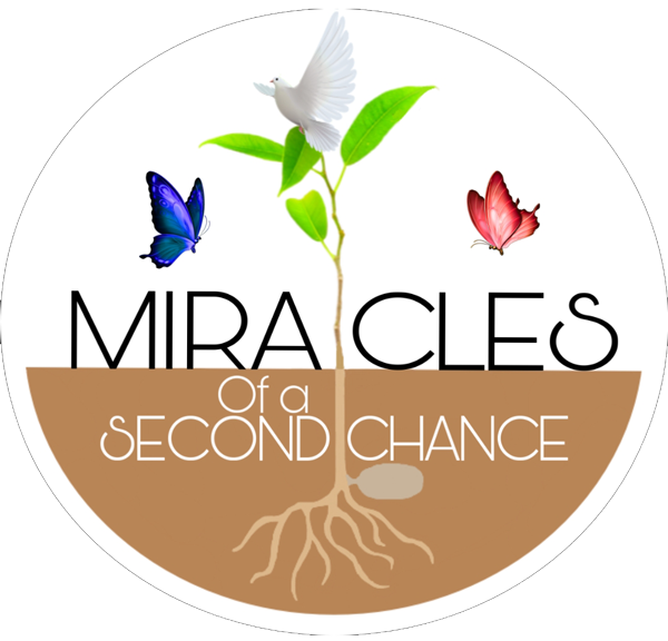 Campaign cover image for Restore Hope to Women in Arizona