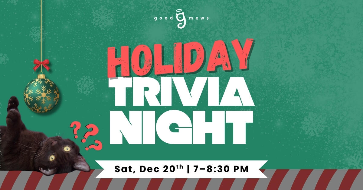 Campaign cover image for Holiday Trivia Night with Good Mews