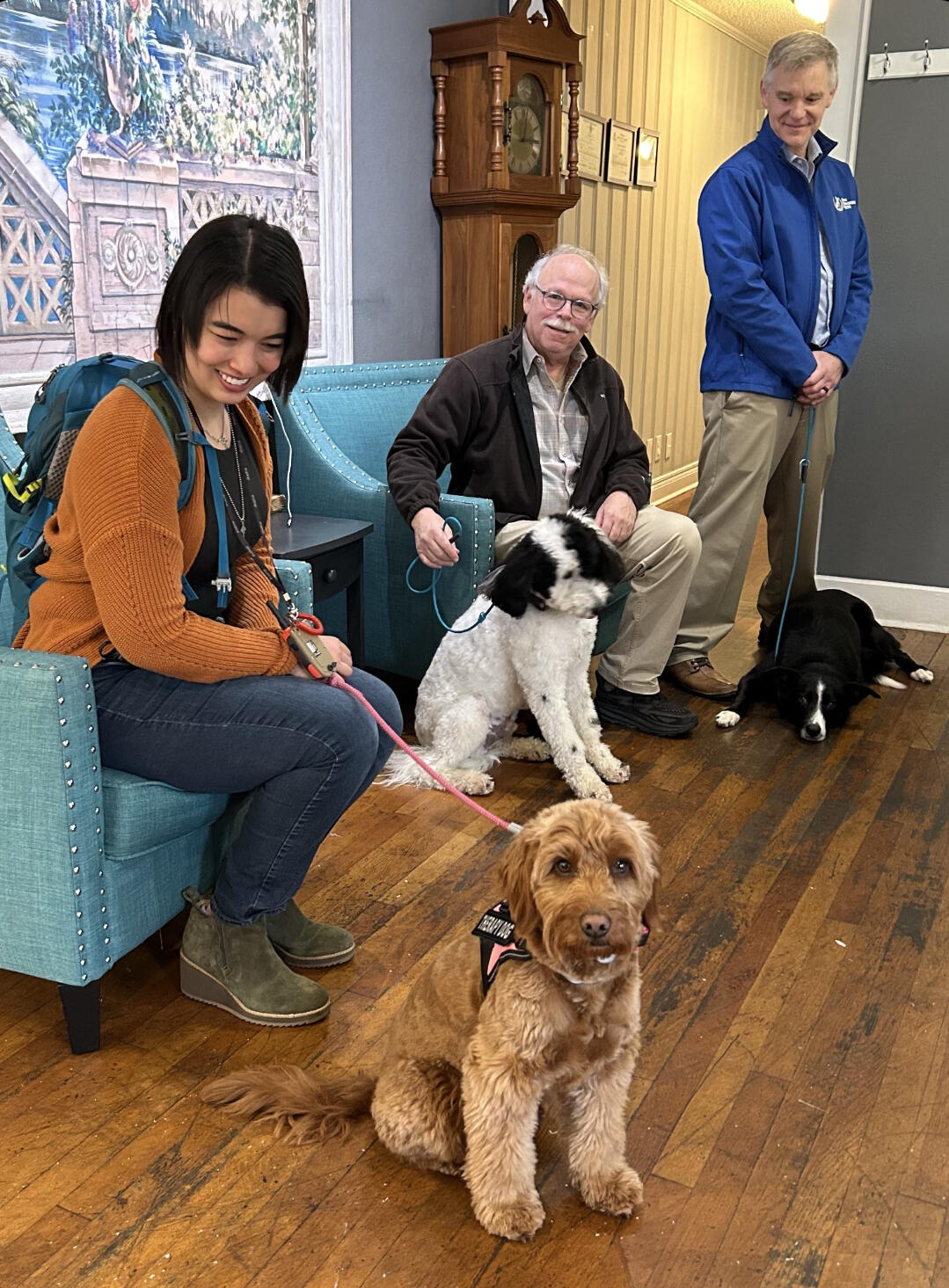 Campaign cover image for Dog Therapy Day with Dog Training Elite