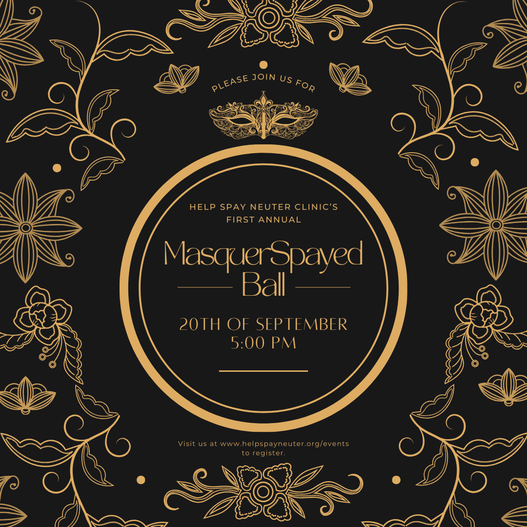 Campaign cover image for MasquerSpayed Ball 2025