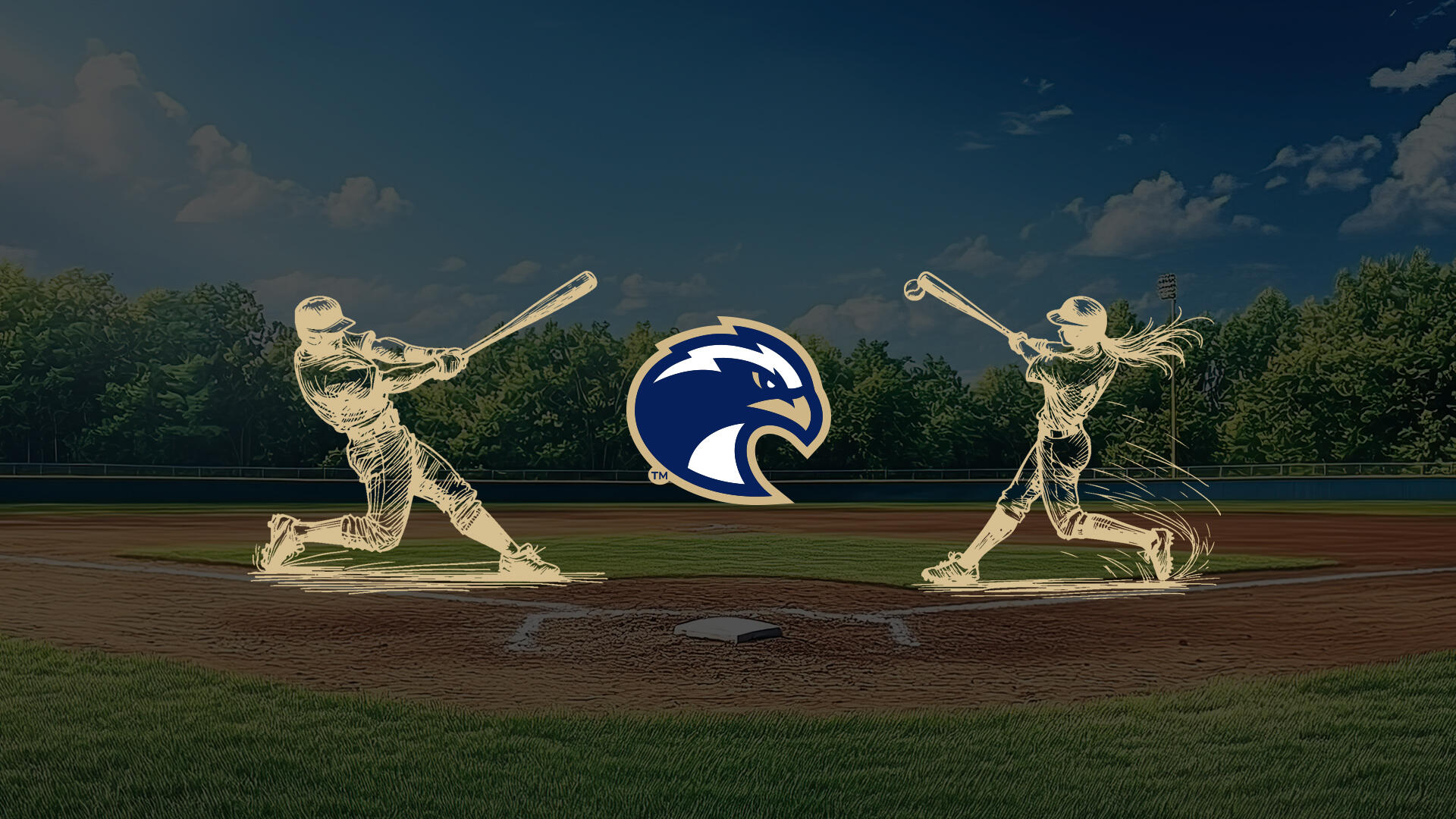 Campaign cover for Athletic Complex: Baseball & Softball Stadium