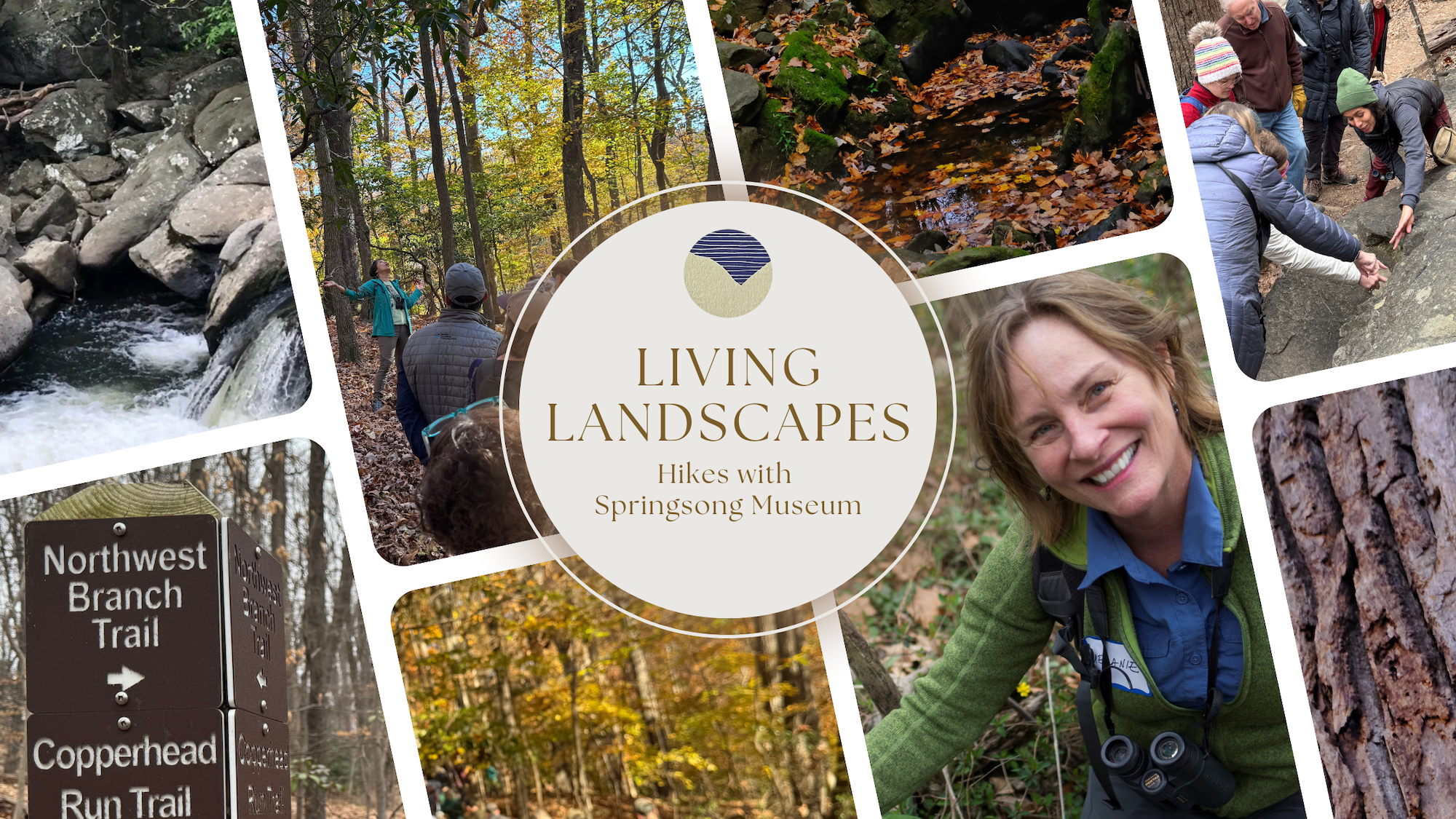 Campaign cover image for Living Landscapes: 2026 Fall Hike with Springsong