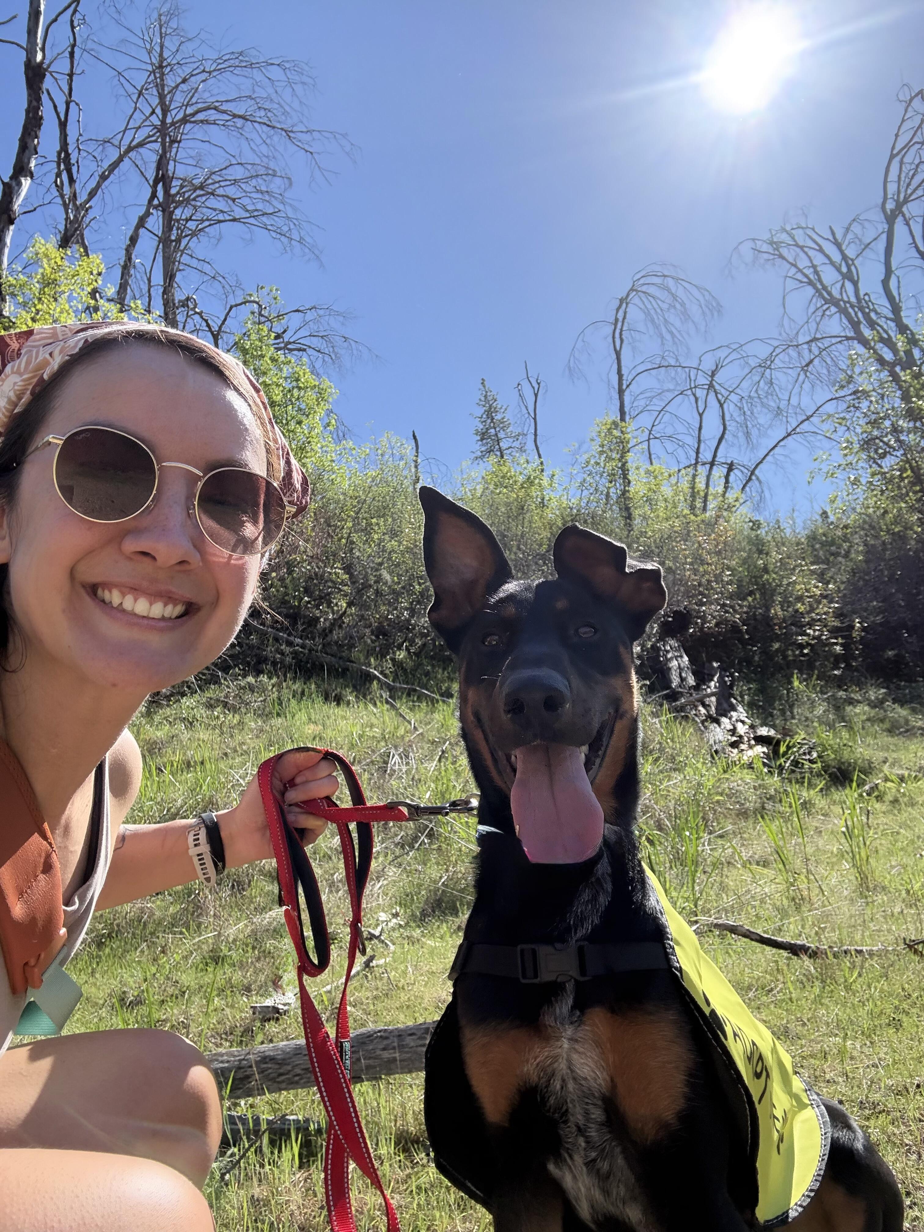 Campaign cover image for Nicole’s Birthday Fundraiser - Funding Our Next 20 Spay/Neuters!