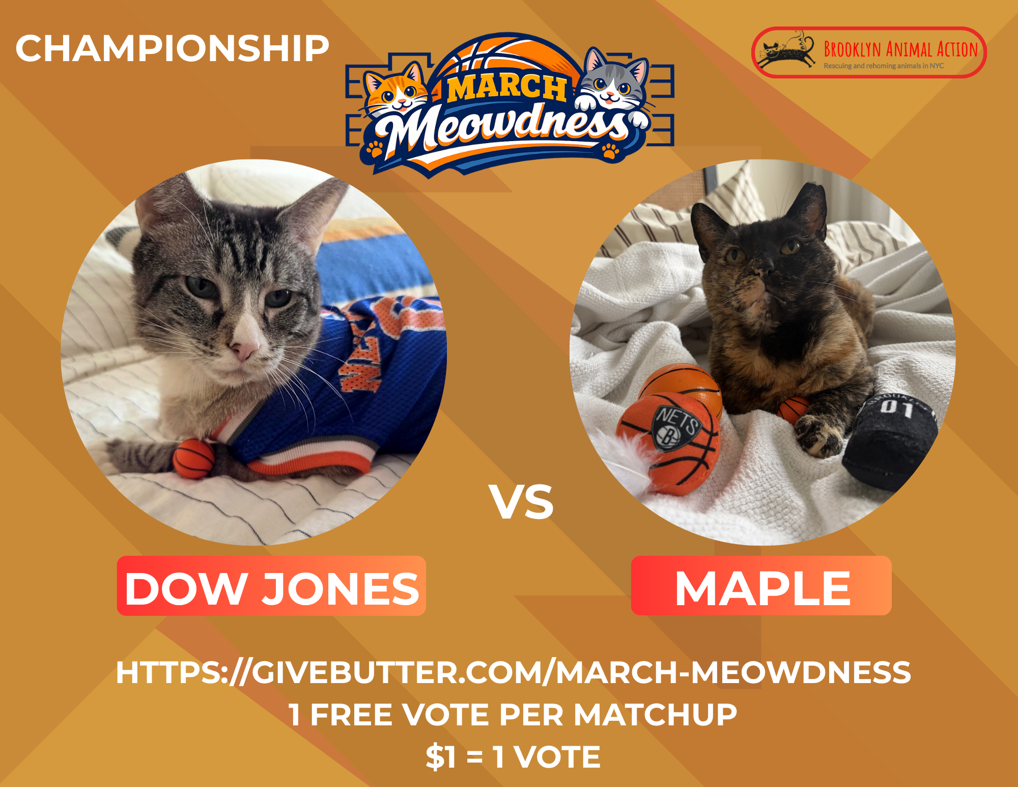 Campaign cover image for March Meowdness