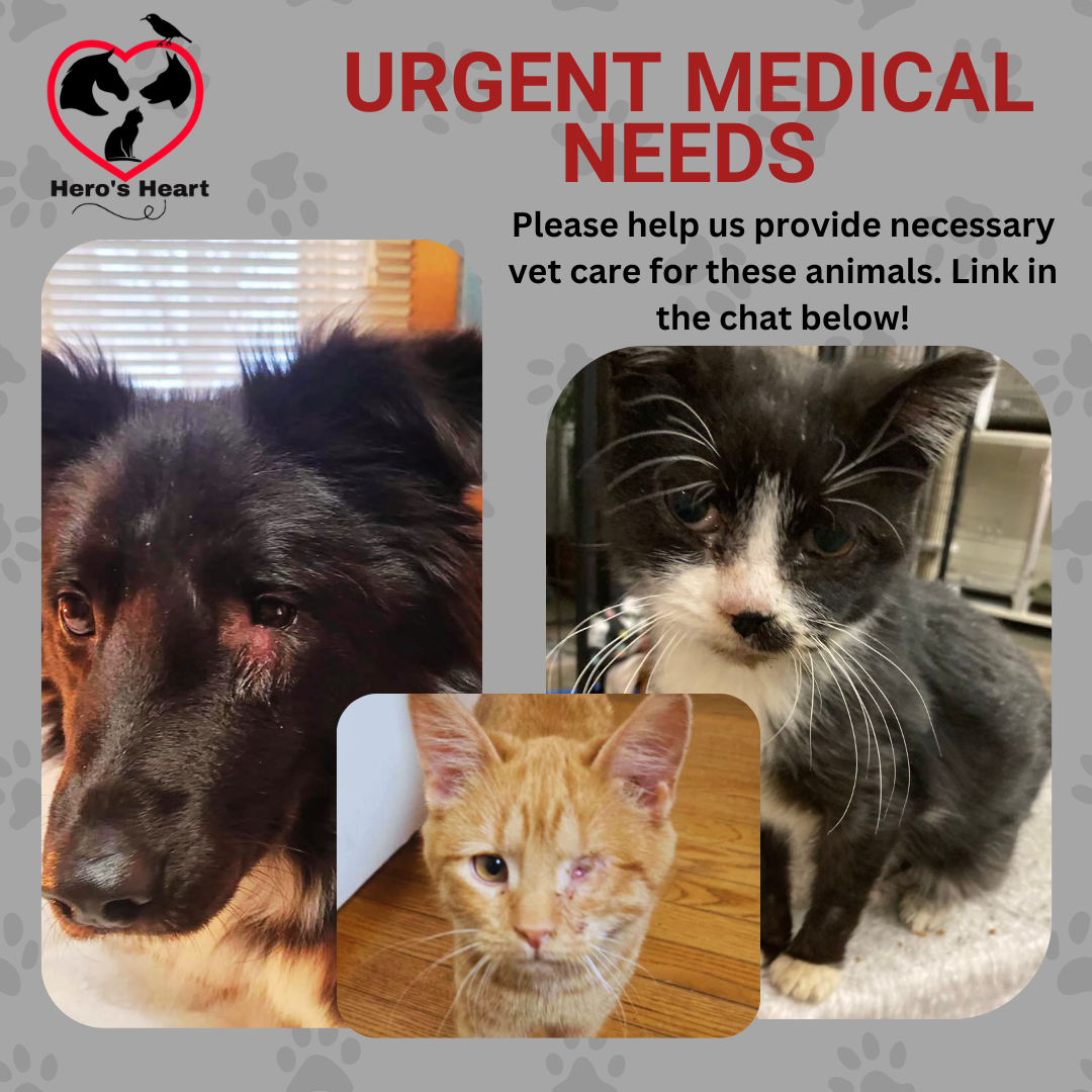 Campaign cover image for New Year, New Hope