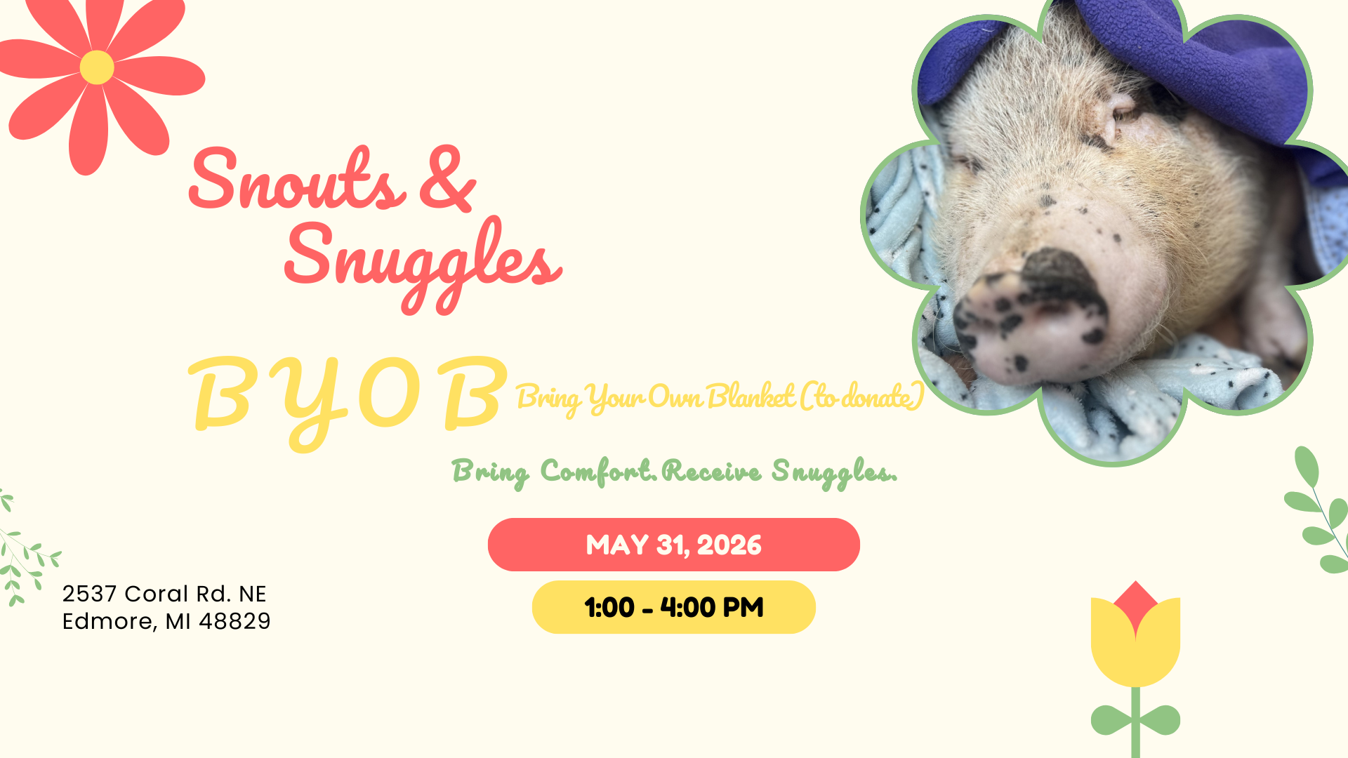 Campaign cover image for Snouts & Snuggles