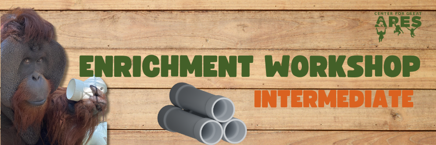 Campaign cover image for Enrichment Workshop - Intermediate - July 25th