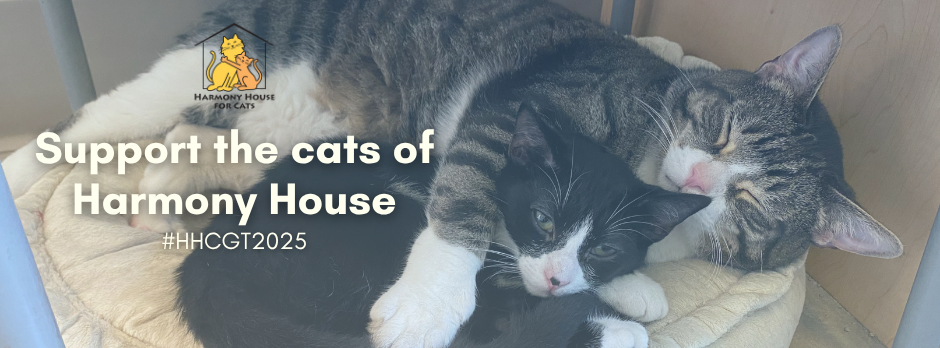 Campaign cover image for Giving Tuesday & End-of-Year Giving