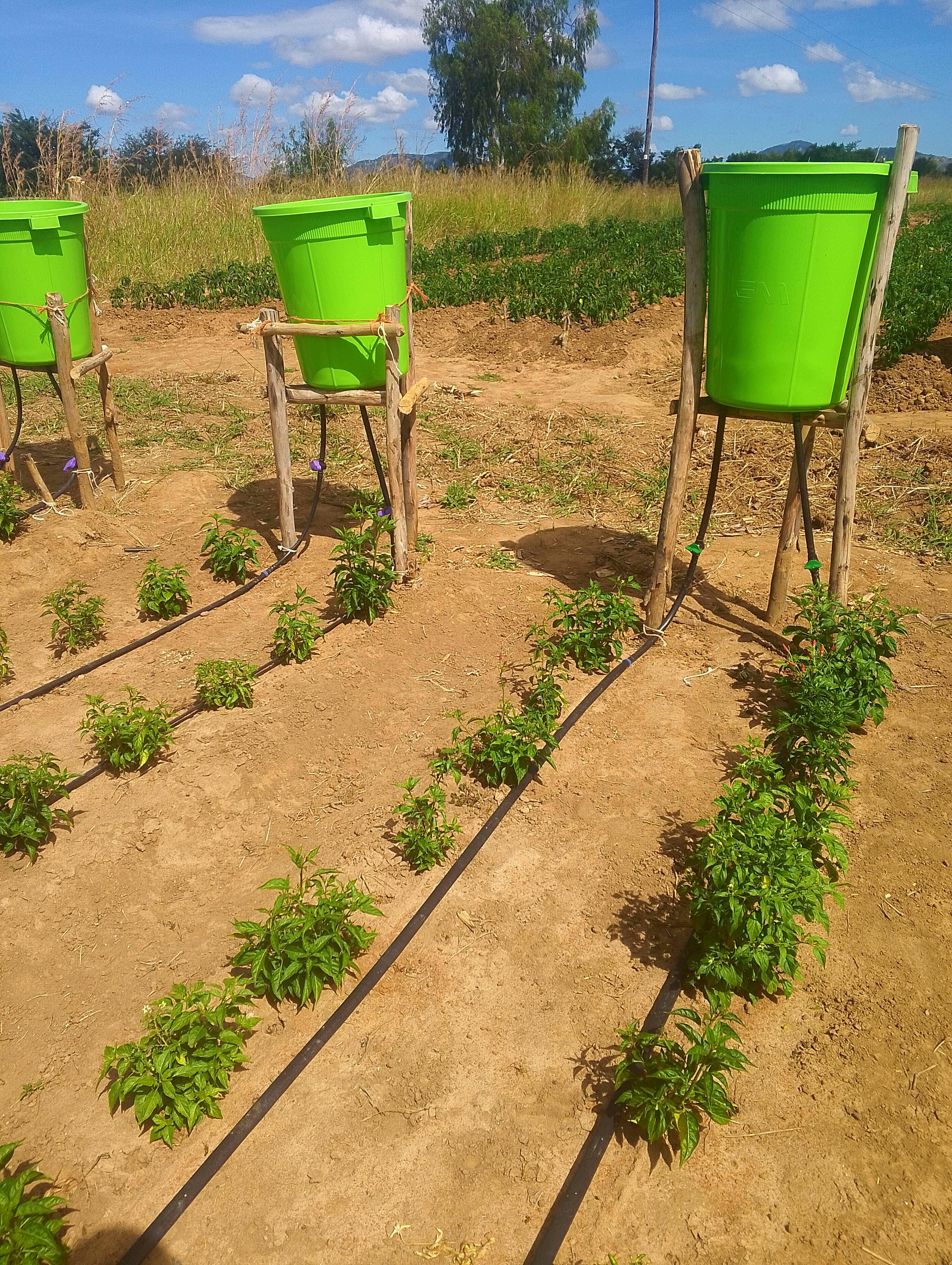 Campaign cover for A Dry Season Irrigation Solution for Farmers