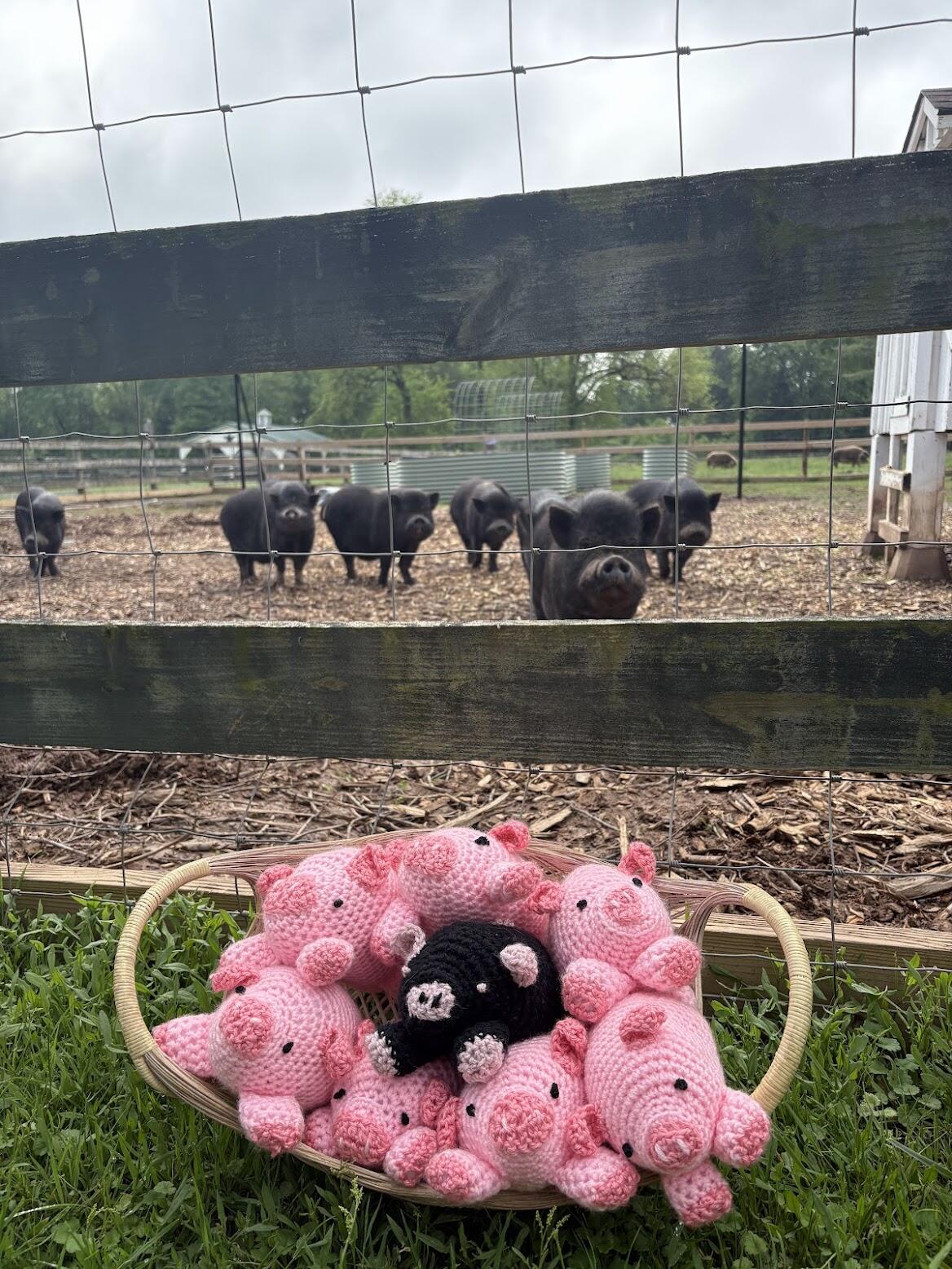 Campaign cover image for Crocheted Piggy Raffle