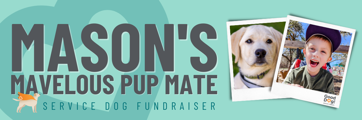 Campaign cover image for Mason's Marvelous Pup Mate