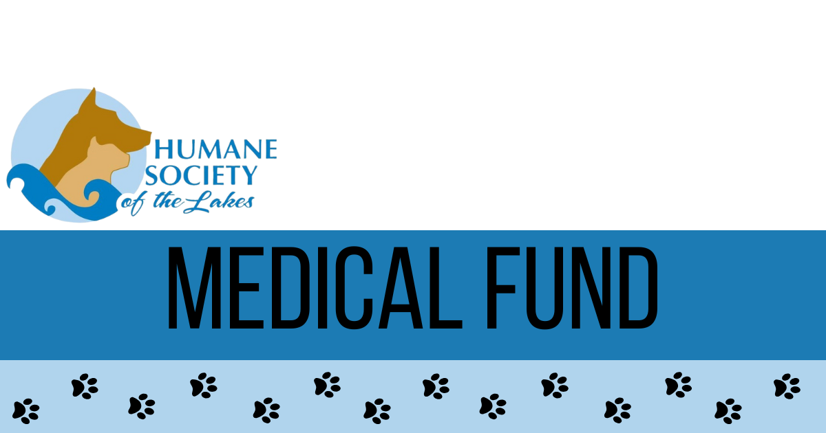 Campaign cover image for HSL Medical Fund