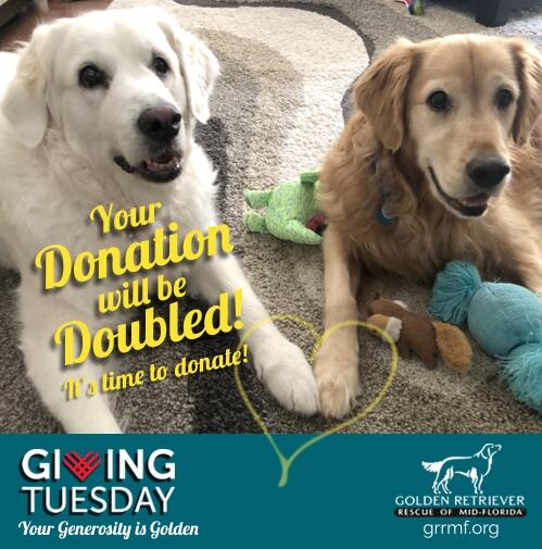 Campaign cover image for 2025 GRRMF GivingTuesday Donation