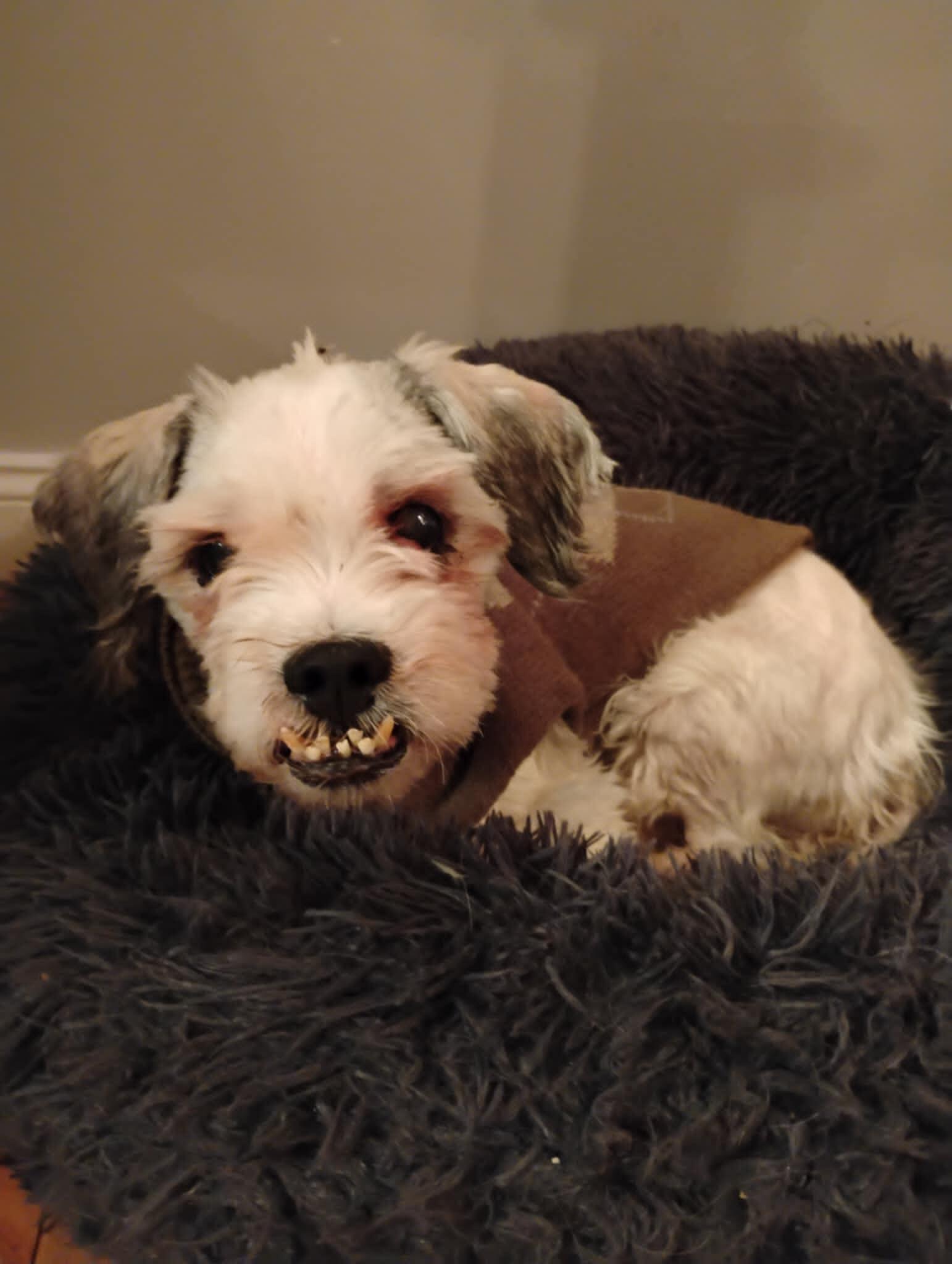 Campaign cover image for Alabaster's Recovery Fund