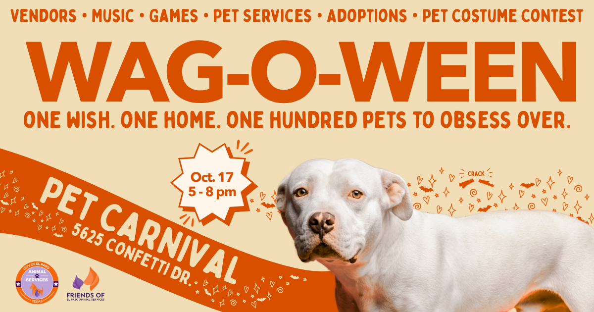 Campaign cover for 4th Annual WAG-O-WEEN Vendor Registration
