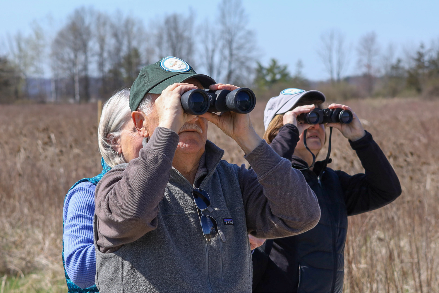 Campaign cover image for October Birding at Shawangunk Grasslands