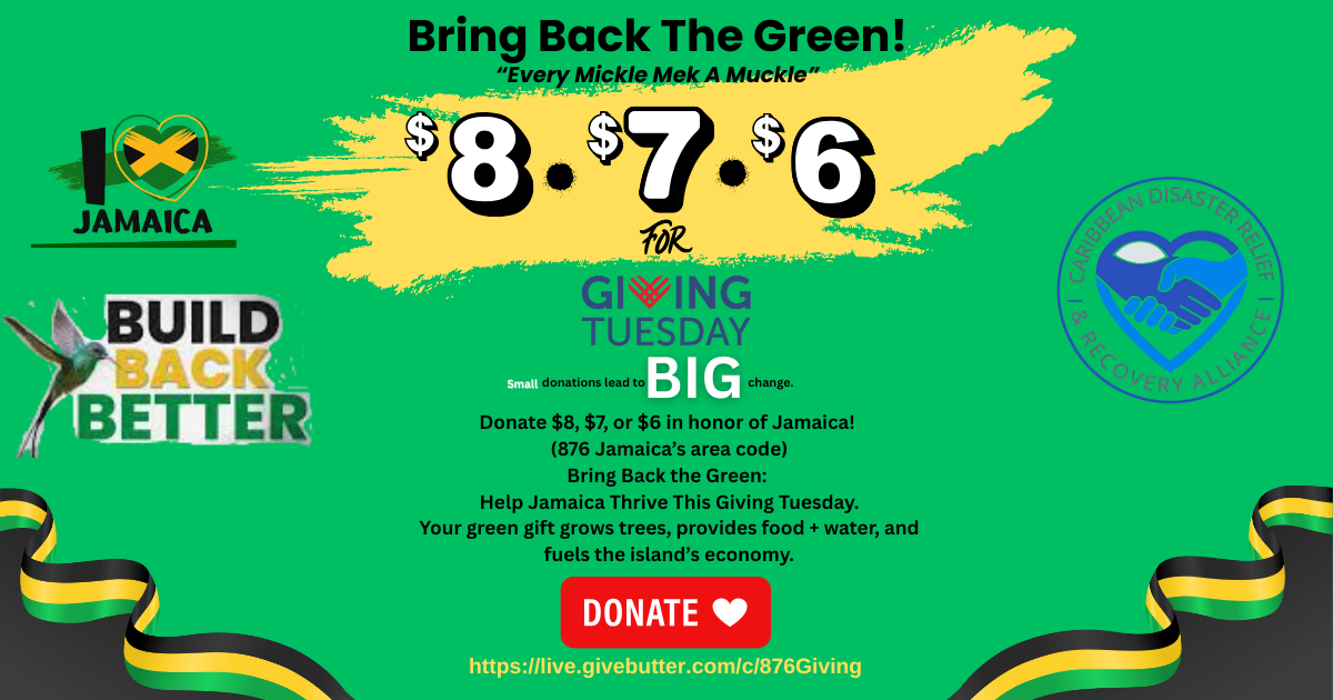 Campaign cover image for $8, $7, $6 for Giving Tuesday- Bring Back The Green!