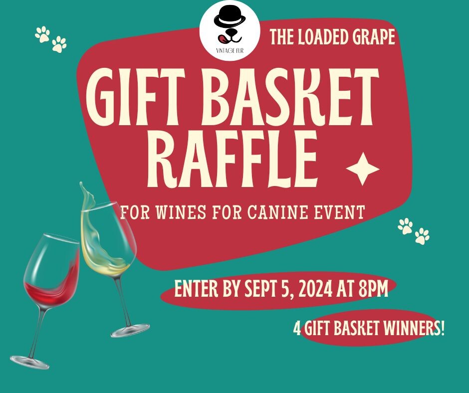 Campaign cover image for Gift basket raffle for Vintage Fur Senior Dogs