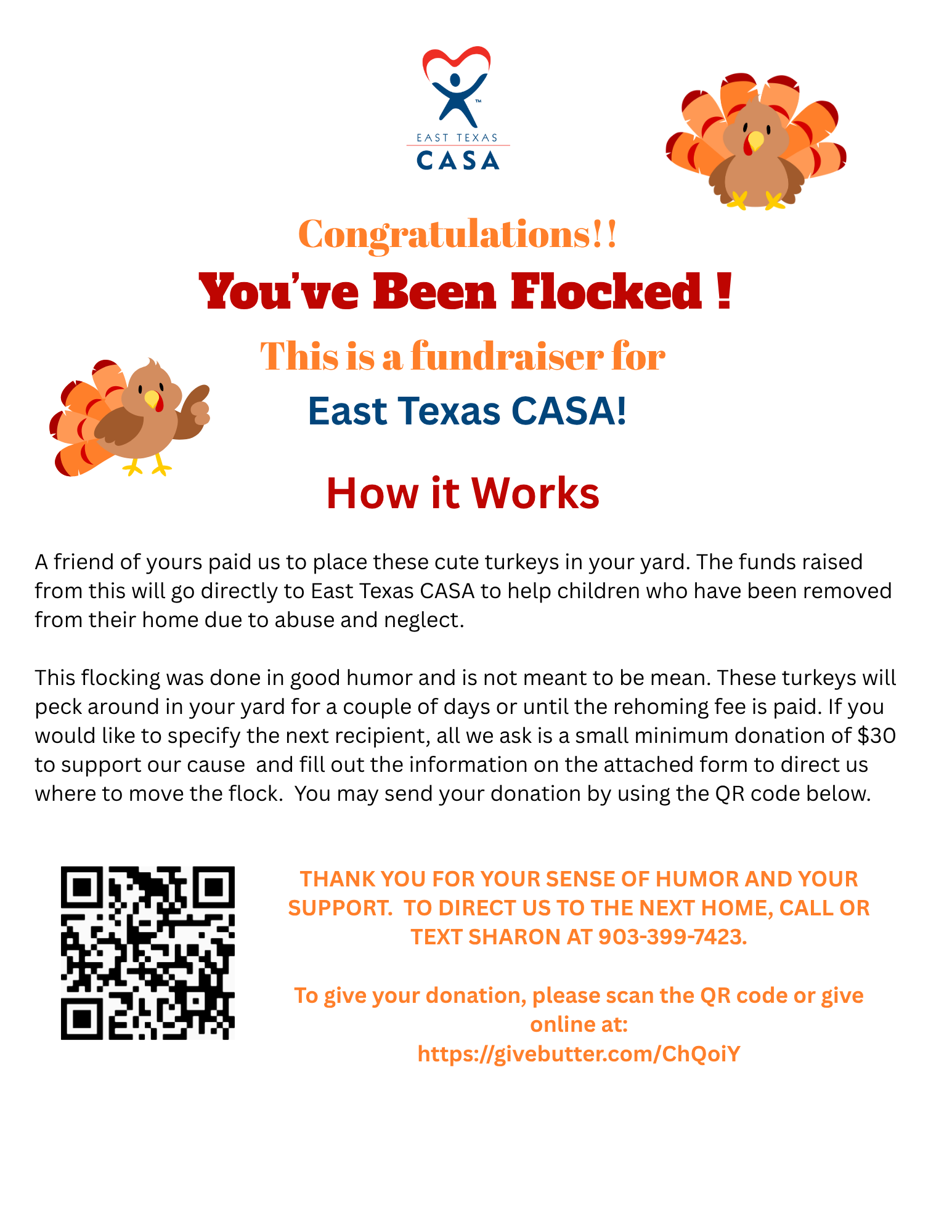 Campaign cover image for Turkey Flocking Fundraiser