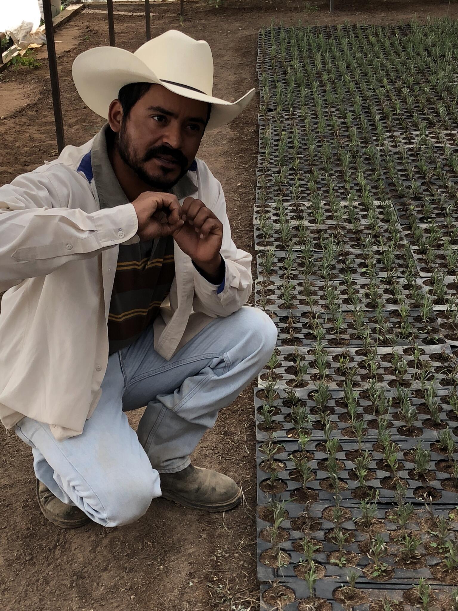 Campaign cover image for CHOICE | Mexico
