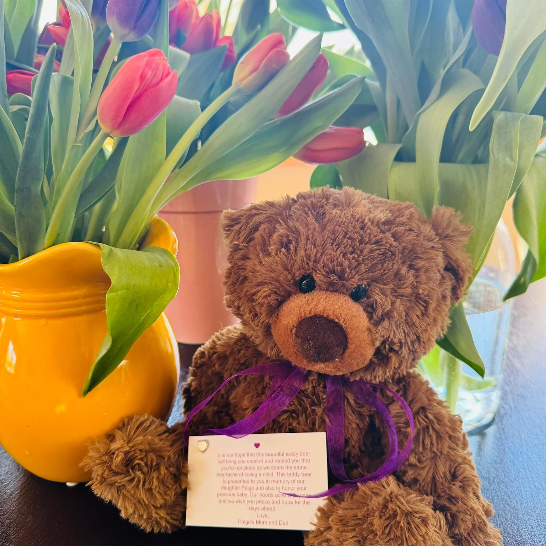 Campaign cover image for Paige Bears