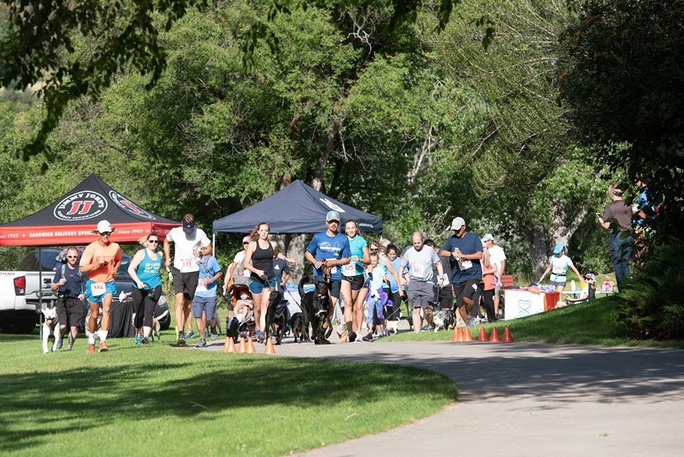 Dog Day 5K dog-day-5k