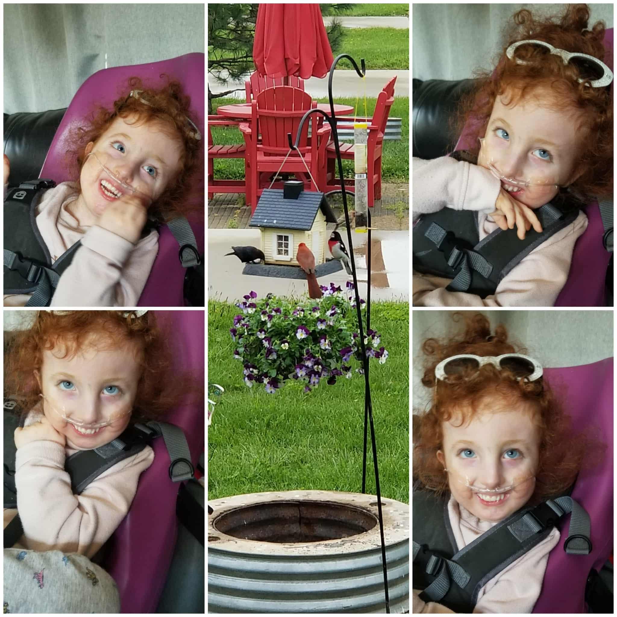 Campaign cover for Help Harley’s Story Live On