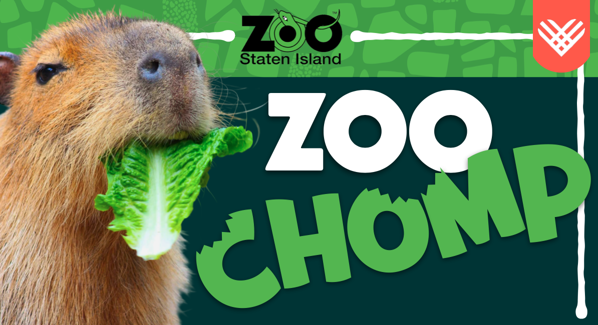 Campaign cover image for Giving Zoo Day - Zoo Chomp!