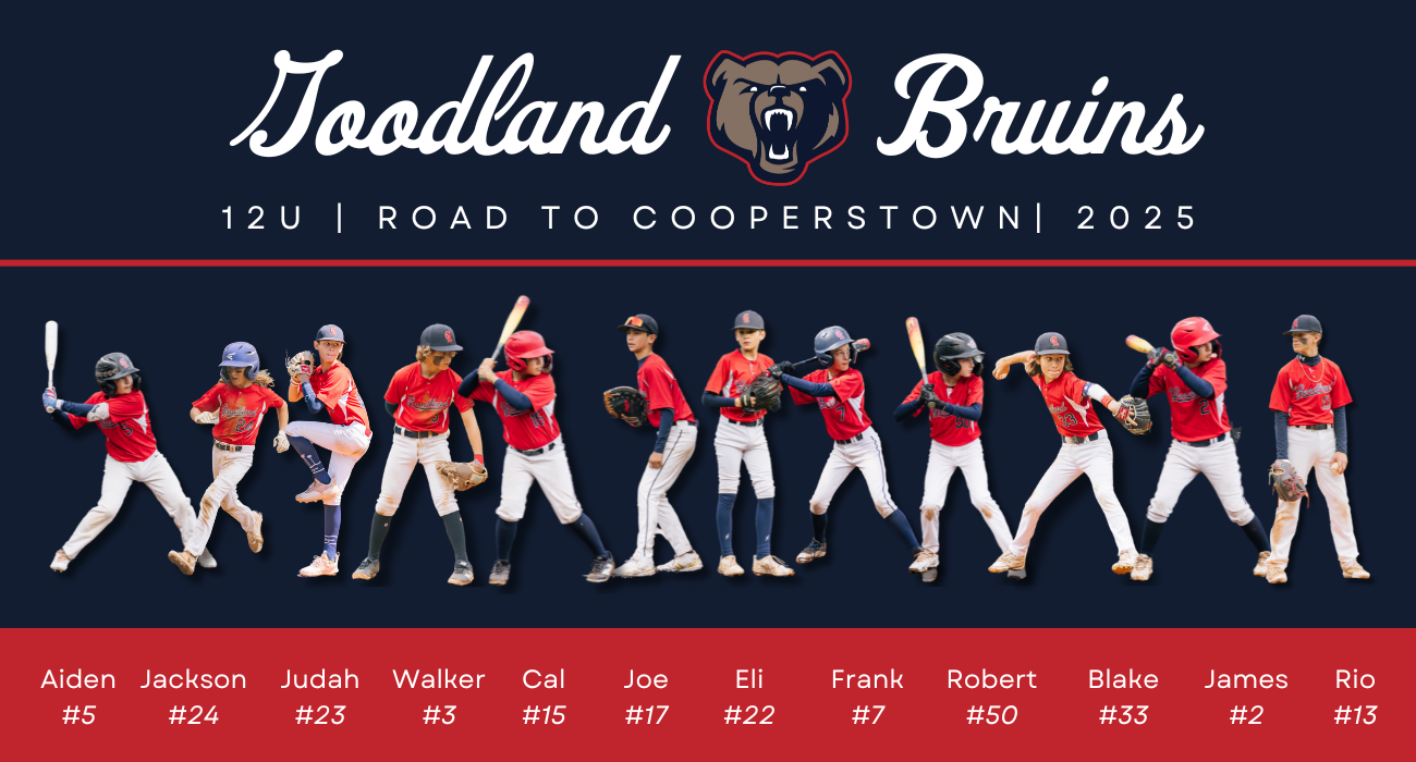 Campaign cover image for Super Bowl Squares 2025 | Goodland Bruins 12U