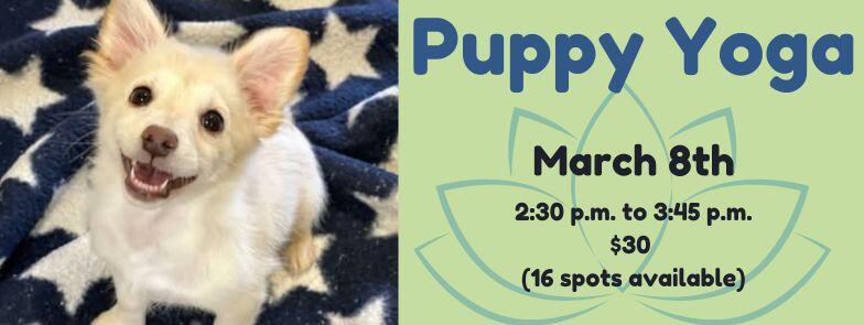 Campaign cover image for Puppy Yoga Registration