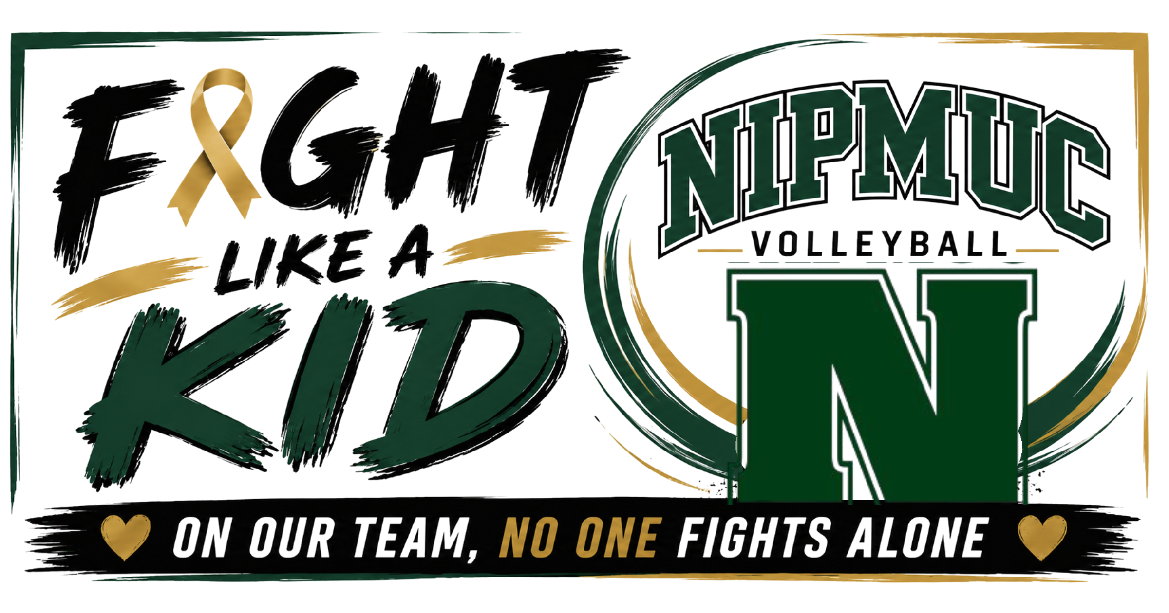 Campaign cover image for NIPMUC VBALL FLAK