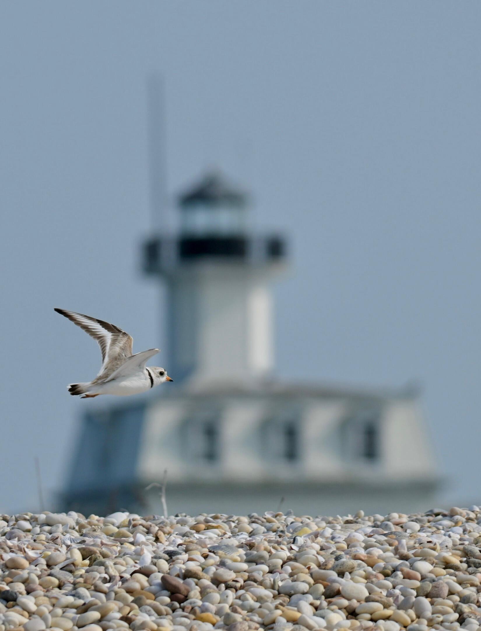 Campaign cover image for Support Friends of Orient Beach State Park