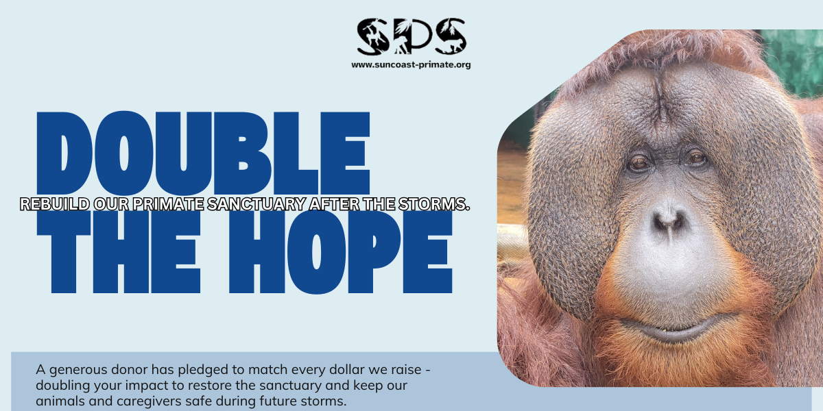 Campaign cover image for Double the Hope: Your donation will be matched up to $25,000!