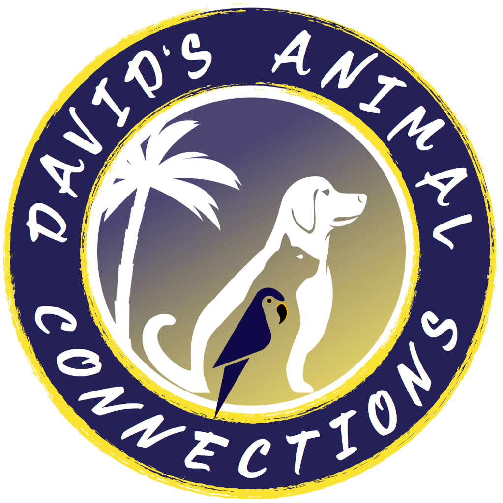 Campaign cover for Help Support Dogs in Need