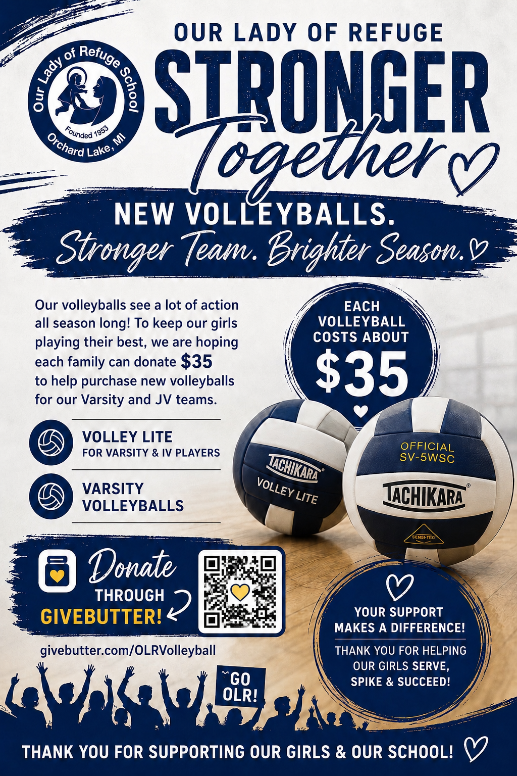 Campaign cover for OLR Volleyballs