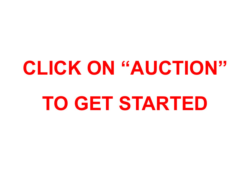 Campaign cover image for Silent Auction